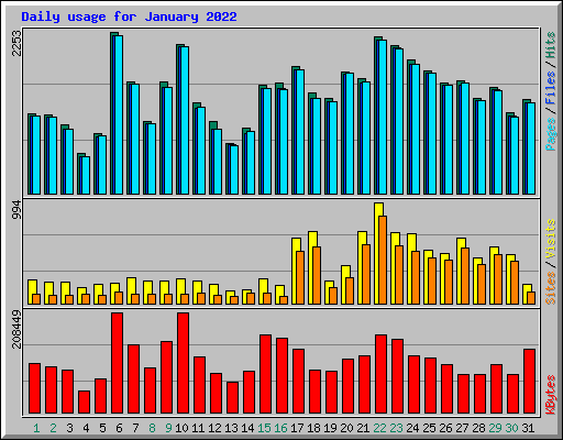 Daily usage for January 2022