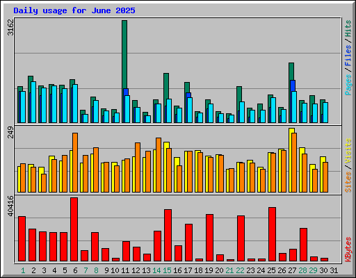Daily usage for June 2025