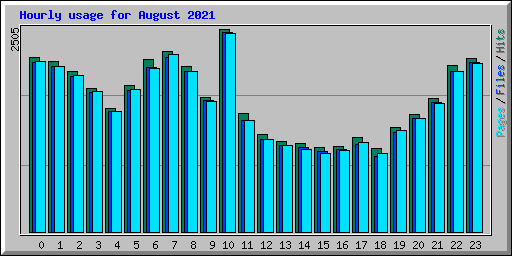 Hourly usage for August 2021