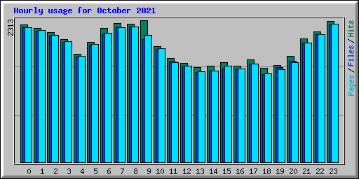 Hourly usage for October 2021