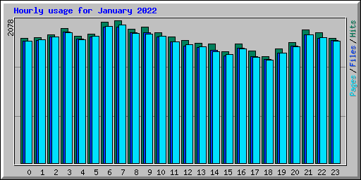 Hourly usage for January 2022