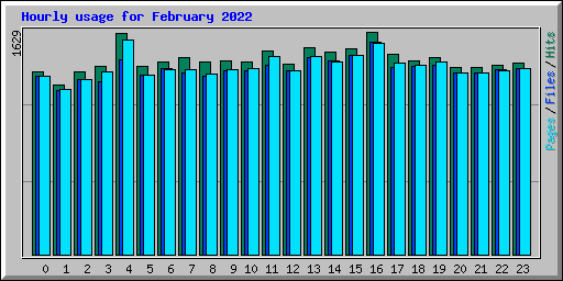 Hourly usage for February 2022