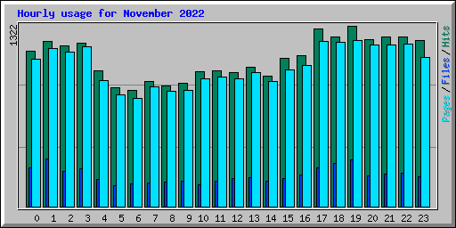 Hourly usage for November 2022