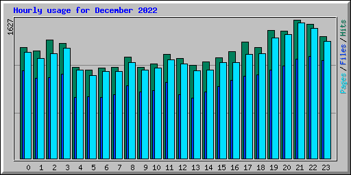 Hourly usage for December 2022