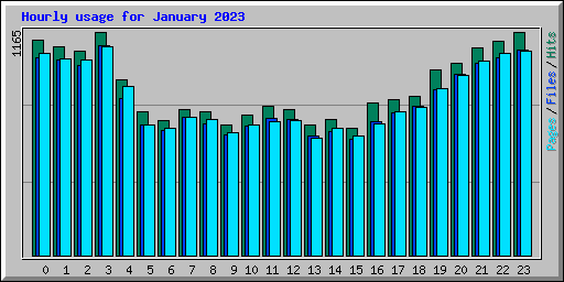 Hourly usage for January 2023