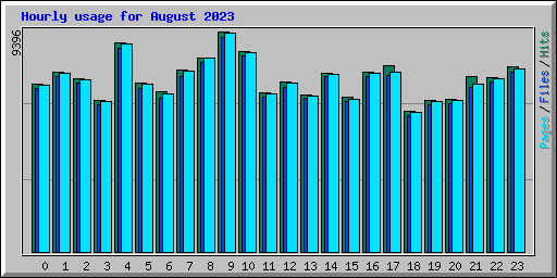 Hourly usage for August 2023