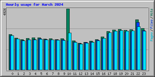 Hourly usage for March 2024