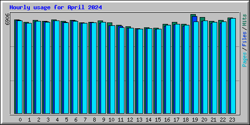 Hourly usage for April 2024