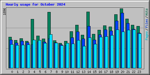 Hourly usage for October 2024