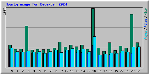 Hourly usage for December 2024