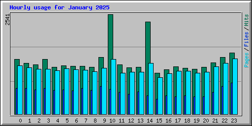 Hourly usage for January 2025