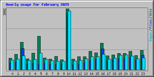 Hourly usage for February 2025