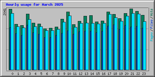 Hourly usage for March 2025