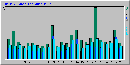 Hourly usage for June 2025